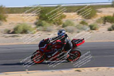 media/Nov-11-2023-SoCal Trackdays (Sat) [[efd63766ff]]/Turn 10 Inside (120pm)/